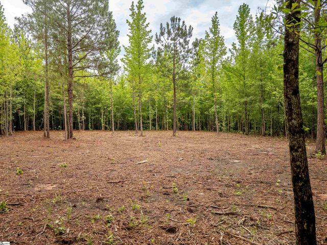 00 Terry Road Lot 1, Fountain Inn, SC 29644