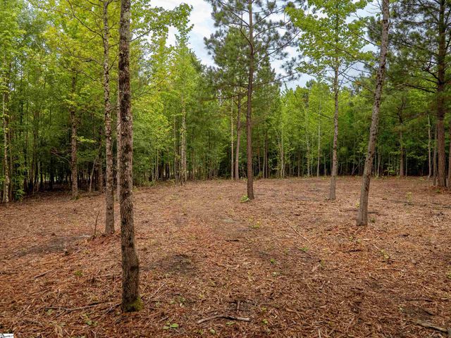 00 Terry Road Lot 1, Fountain Inn, SC 29644