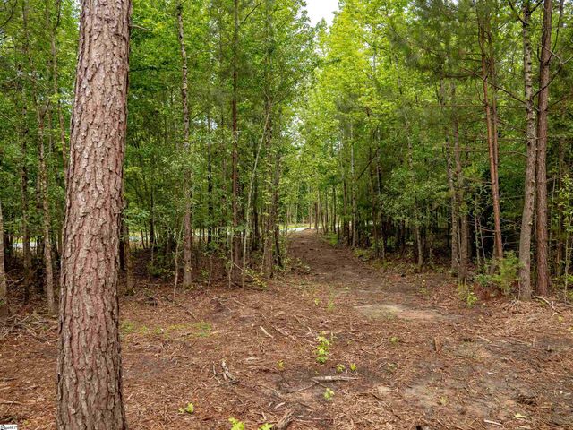 00 Terry Road Lot 1, Fountain Inn, SC 29644