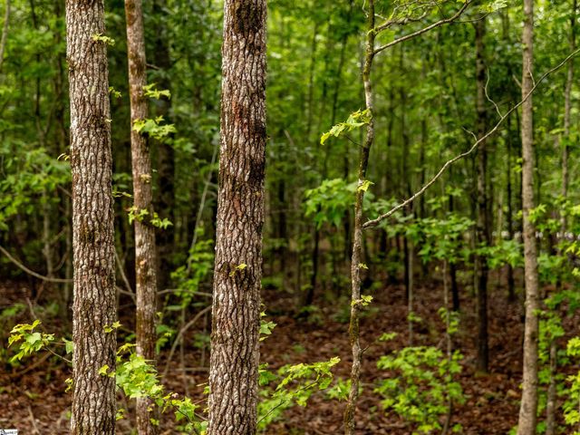 00 Terry Road Lot 1, Fountain Inn, SC 29644