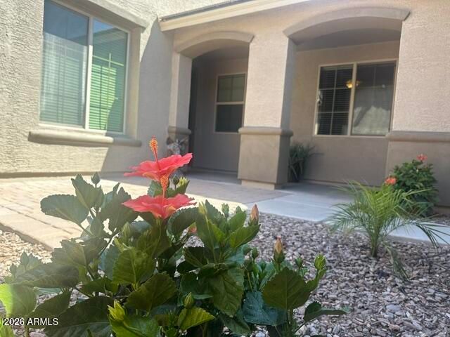 556 W SWEET SHRUB Avenue, Queen Creek, AZ 85140