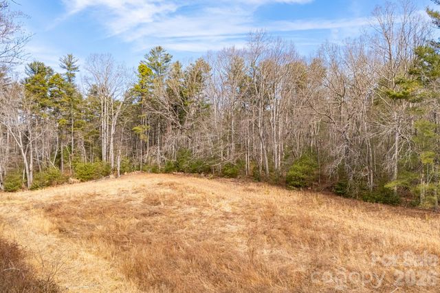 00 Old Haywood Road, Mills River, NC 28759