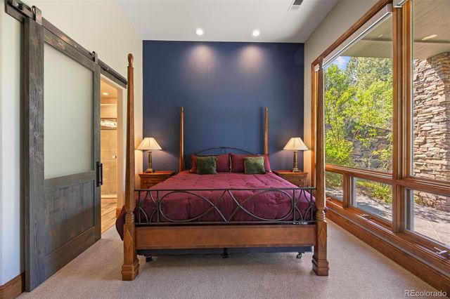 1048 Vintage Place, Castle Rock, CO 80108
