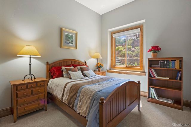 1048 Vintage Place, Castle Rock, CO 80108