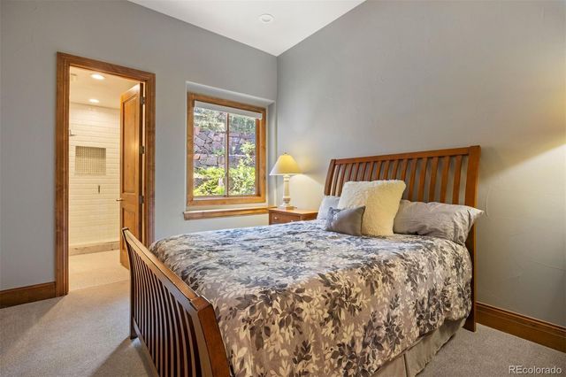 1048 Vintage Place, Castle Rock, CO 80108