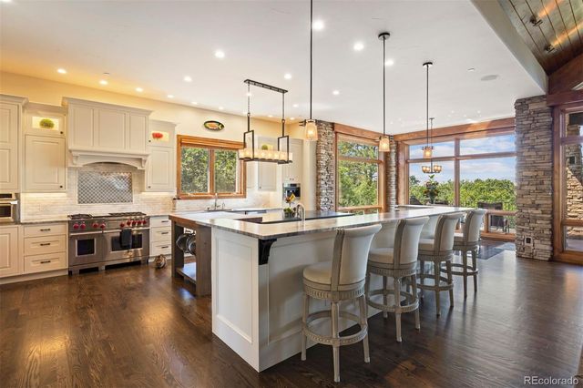 1048 Vintage Place, Castle Rock, CO 80108