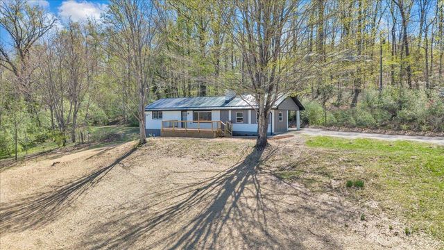 85 Little Paws LN, Buchanan, VA 24066