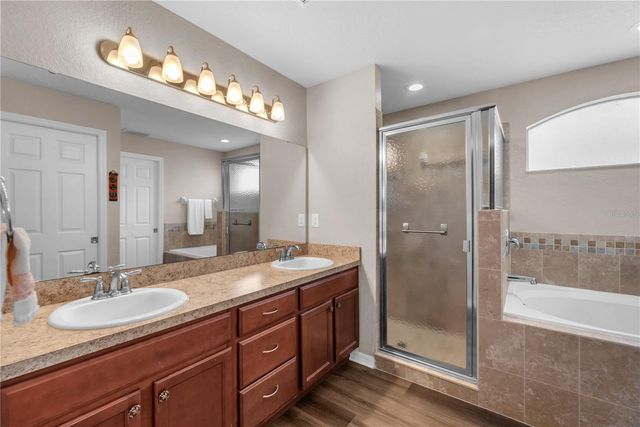 719 VINEYARD RESERVE COURT, Seffner, FL 33584