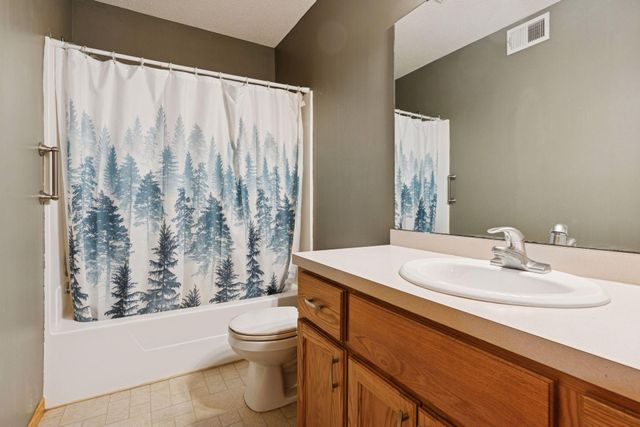 16911 Leyte Street NE, Andover, MN 55304