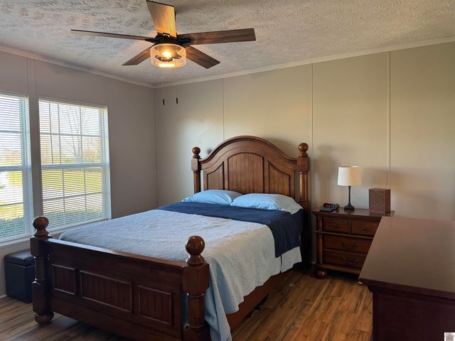 395 Shamrock Lane, Dexter, KY 42036