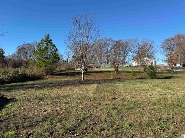 395 Shamrock Lane, Dexter, KY 42036