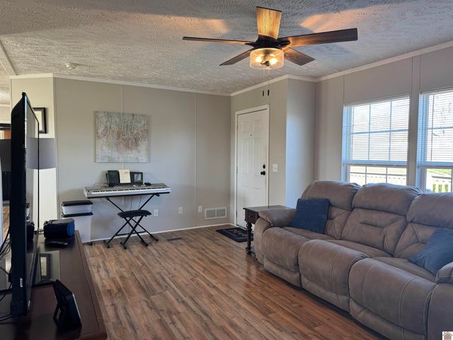 395 Shamrock Lane, Dexter, KY 42036