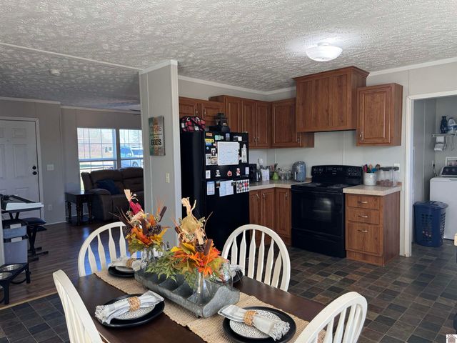 395 Shamrock Lane, Dexter, KY 42036