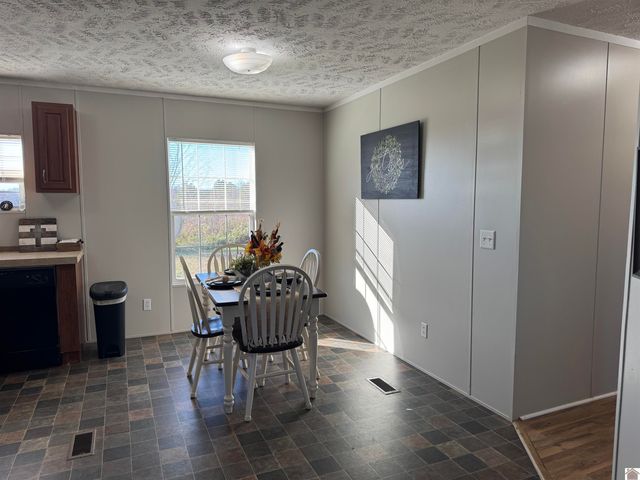 395 Shamrock Lane, Dexter, KY 42036