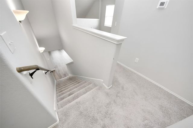 4206 Tulip Oak Drive, Houston, TX 77068