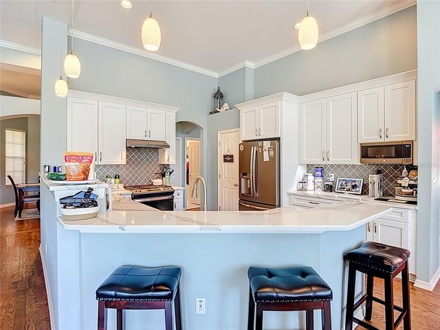 4805 TEA ROSE COURT, Lutz, FL 33558