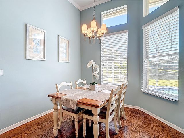 4805 TEA ROSE COURT, Lutz, FL 33558