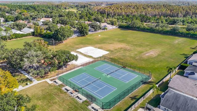 4805 TEA ROSE COURT, Lutz, FL 33558