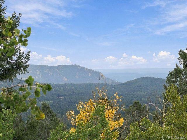 11682 Baca Rd, Conifer, CO 80433