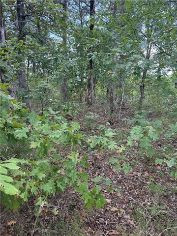 TBD Lot 33 Hannah Lane, Eureka Springs, AR 72631