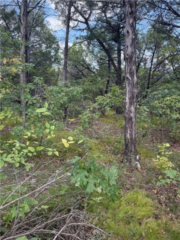 TBD Lot 33 Hannah Lane, Eureka Springs, AR 72631