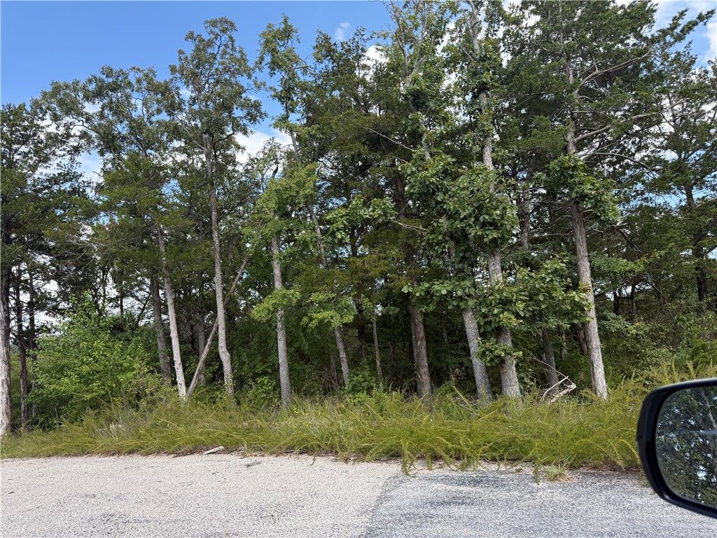 TBD Lot 33 Hannah Lane, Eureka Springs, AR 72631