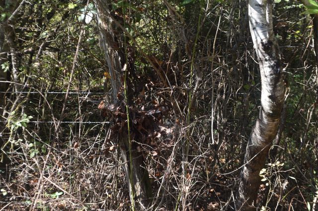 0 New Lake Road, Lewisburg, TN 37091