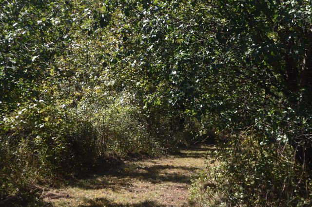 0 New Lake Road, Lewisburg, TN 37091