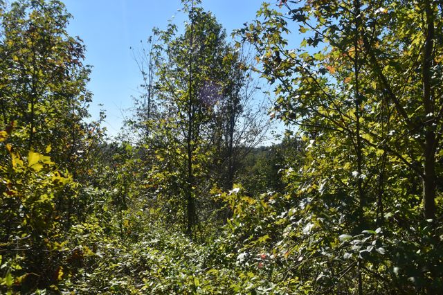 0 New Lake Road, Lewisburg, TN 37091