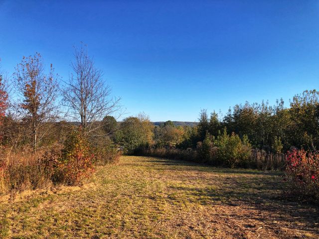 0 New Lake Road, Lewisburg, TN 37091