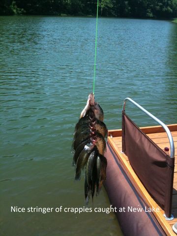 0 New Lake Road, Lewisburg, TN 37091