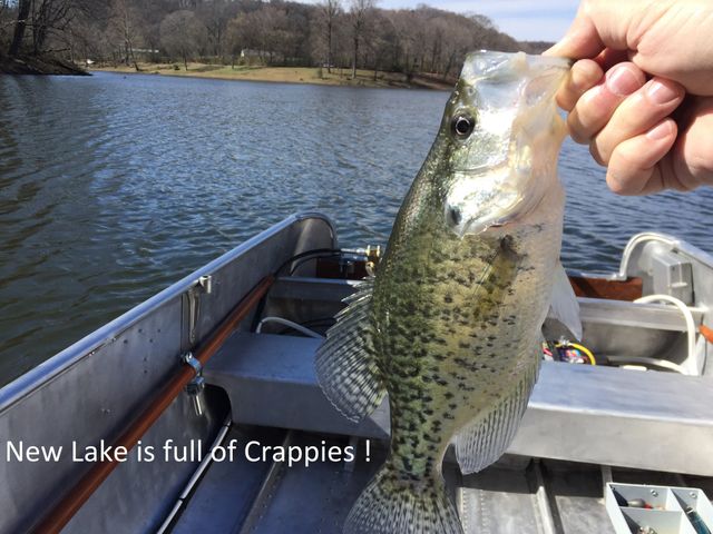 0 New Lake Road, Lewisburg, TN 37091