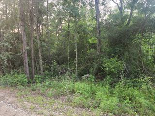 Lot 5 Pin Oak Drive, Plantersville, TX 77363