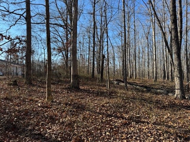 0 Reed Rd, Hohenwald, TN 38462