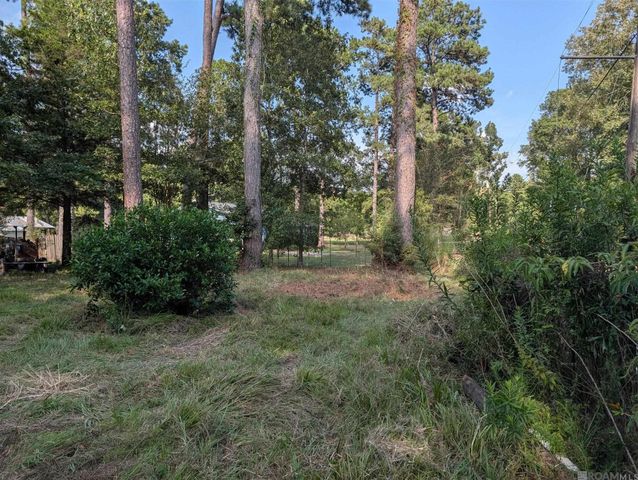 16703 Wildflower Ln, Walker, LA 70785