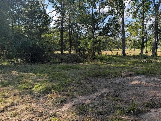 16703 Wildflower Ln, Walker, LA 70785