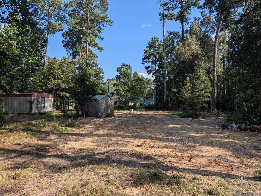 16703 Wildflower Ln, Walker, LA 70785