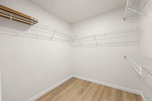 8907 Imperial Cross, Helotes, TX 78023