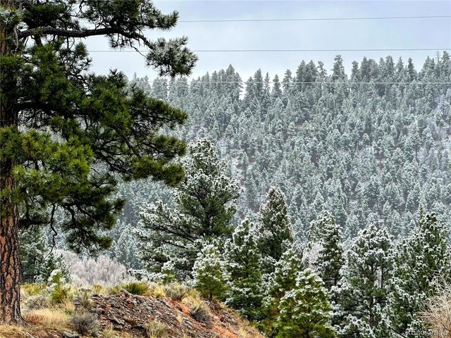 394 Tixier Ramirez Circle, Antonito, CO 81120
