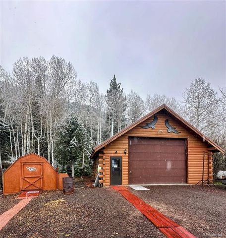 394 Tixier Ramirez Circle, Antonito, CO 81120