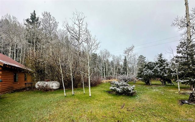 394 Tixier Ramirez Circle, Antonito, CO 81120