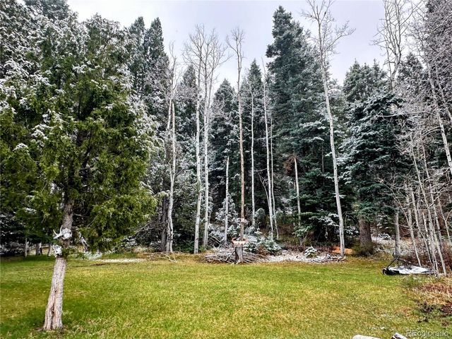 394 Tixier Ramirez Circle, Antonito, CO 81120