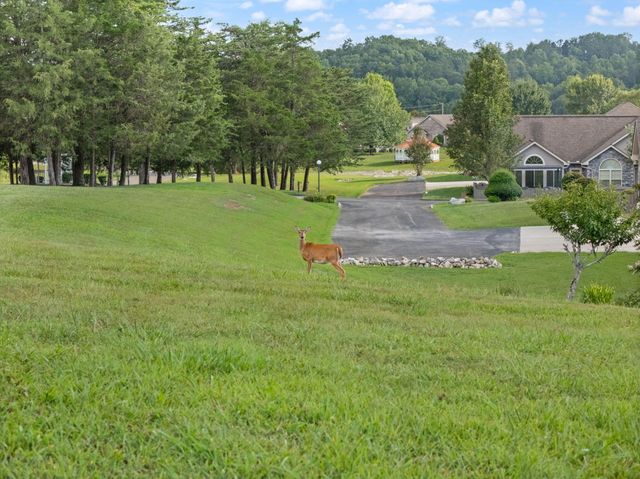 371 Chateau Place, Bronston, KY 42518
