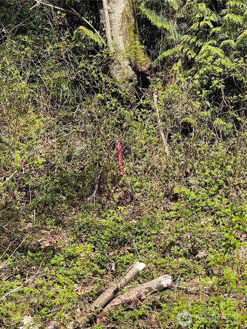 29 K Beach Way, Hat Island, WA 98206