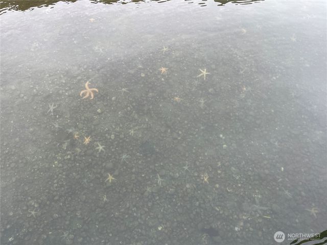 29 K Beach Way, Hat Island, WA 98206