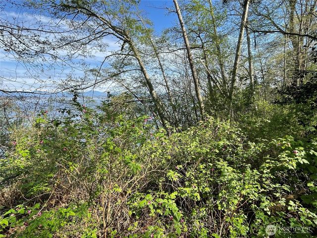 29 K Beach Way, Hat Island, WA 98206