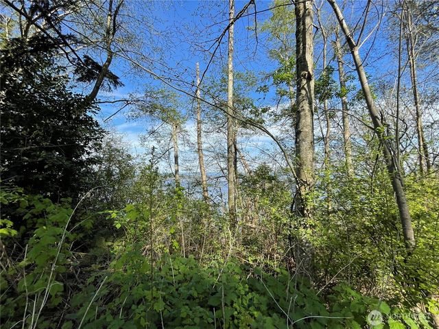 29 K Beach Way, Hat Island, WA 98206