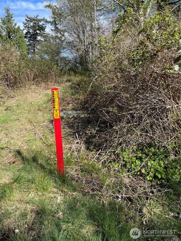 29 K Beach Way, Hat Island, WA 98206