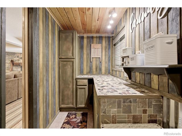 102 Insmont Drive, Bailey, CO 80421