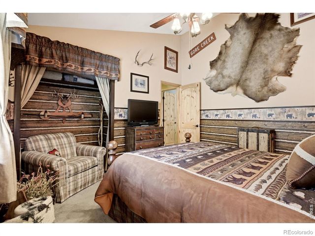 102 Insmont Drive, Bailey, CO 80421